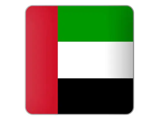 UAE flag